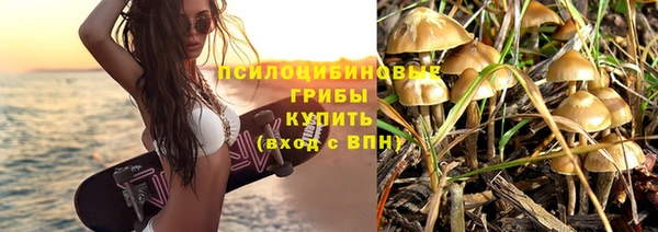 дмт Балахна