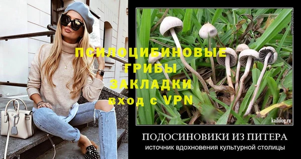 дмт Балахна