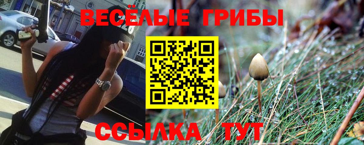Галлюциногенные грибы мухоморы Ногинск